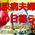 糖尿病夫婦のその日暮らし　ゼロキロカロリーって、使いどころが難しいよねって話