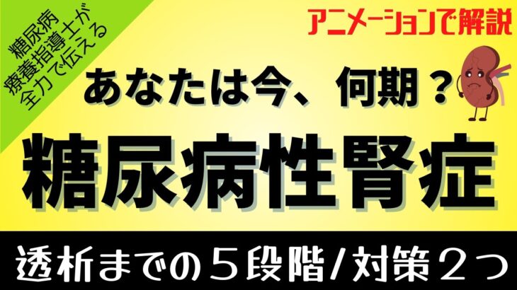 糖尿病で腎臓が悪くなるのを阻止しよう！糖尿病性腎症について、透析までの５つの段階と２つの重要な予防策を、アニメーションで解説します。