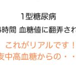 【1型糖尿病】これがリアル！夜中高血糖からの・・・24時間血糖値に翻弄される