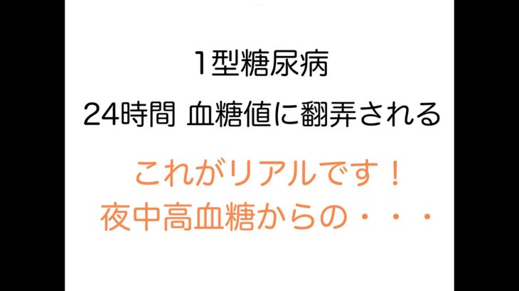 【1型糖尿病】これがリアル！夜中高血糖からの・・・24時間血糖値に翻弄される