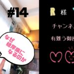 🐱ねこ先生の🐱健康の新常識シリーズ#14【なぜ糖尿病になるのか】#1型糖尿病 #iddm#43兆円の女#瓢呼吸