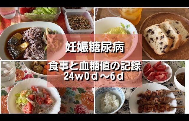 【妊娠糖尿病】食事と血糖値の記録｜妊娠24週0日～6日