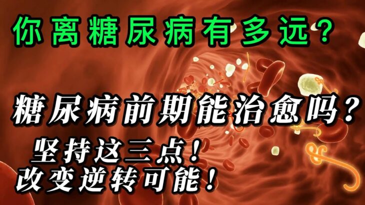 糖尿病前期可以治愈吗？坚持这3点改变逆转可能！50%概率治愈你一定要试一试！糖尿病 逆转方法