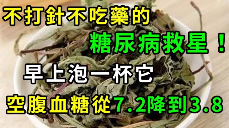 不花錢的天然胰島素！它是糖尿病救星，不打針不吃藥的糖尿病救星！早上喝一杯它，7天空腹血糖280降到80，不知道的虧大了！【養生常談】