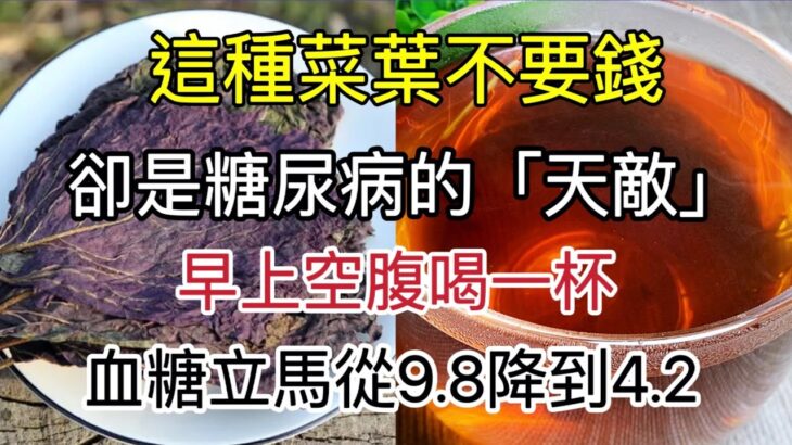 這種菜葉不要錢，卻是糖尿病的「天敵」，早上空腹喝一杯，血糖立馬從9.8降至4.2，從此結束32年的糖尿病，血管乾淨、預防三高