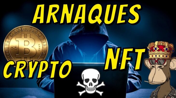 ARNAQUES CRYPTO & NFT – Enquête d’un EX-FLIC – Lutte ANTI SCAM 🚨