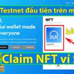 Airdrop Testnet đầu tiên trên mạng SUI – Claim NFT ví Suiet (kèo ngon) | The Anh LDA