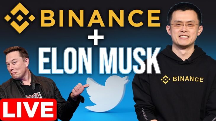 Binance & Elon Own Crypto Twitter | Twitter Debuts NFT “Tiles”