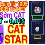 CATSTAR LỤM 100$ ~ 1000$ TỪ NFT CAT SIÊU HIẾM + BÁN SỚM CAT CƠ HỘI NGON CHO MỌI NGƯỜI | Kiếm Tiền