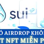 Cập Nhật AirDrop SUi – Mint NFT Miễn Phí Cơ Hội Nhận Retroactive Từ Dự Án | Tips Crypto