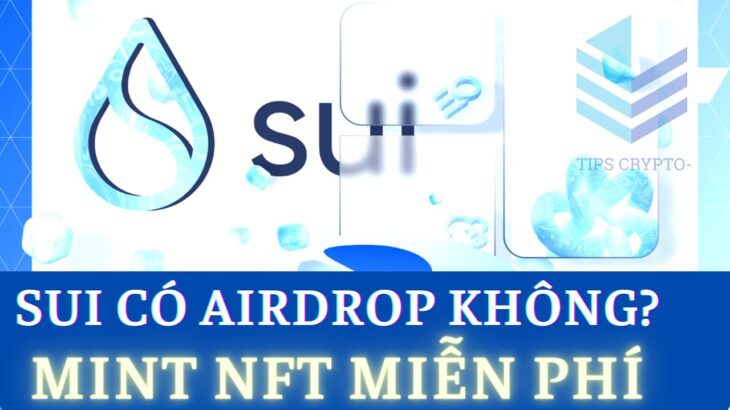 Cập Nhật AirDrop SUi – Mint NFT Miễn Phí Cơ Hội Nhận Retroactive Từ Dự Án | Tips Crypto