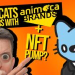 Cool Cats Raise Funding from Animoca Brands, NFT Volume is Up, Renga Cools Off (The NFT Show #24)