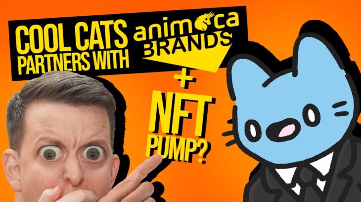 Cool Cats Raise Funding from Animoca Brands, NFT Volume is Up, Renga Cools Off (The NFT Show #24)