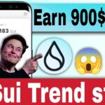 Earn 900$ Upto SUI BLOCKCHAIN AIRDROP SUI Mint An NFT Claim SUI CONFIRMED AIRDROP PROJECT Sui Aptos