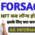 FORSAGE NFT कब लॉन्च होने वाला है ll Forsage Nft Plan ll Forsage Nft token ll Forsage Busd Nft