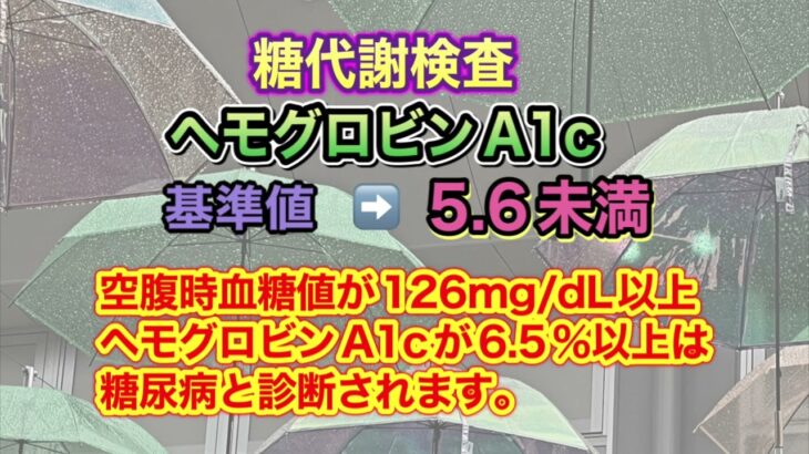 【糖尿病】健康診断でHbA1cが11.３ やばい数値で入院しました‼️