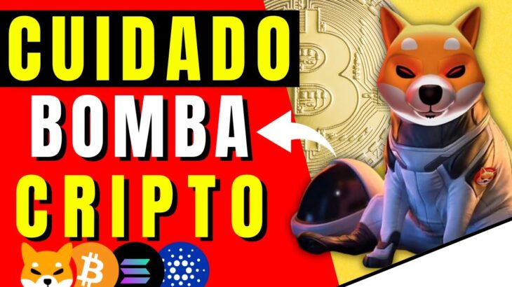 ✅ INCREÍBLE SHIBA INU👉🏻 Noticias criptomonedas HOY | Bitcoin | Chainlink | NFT | Cardano | Shiba Inu