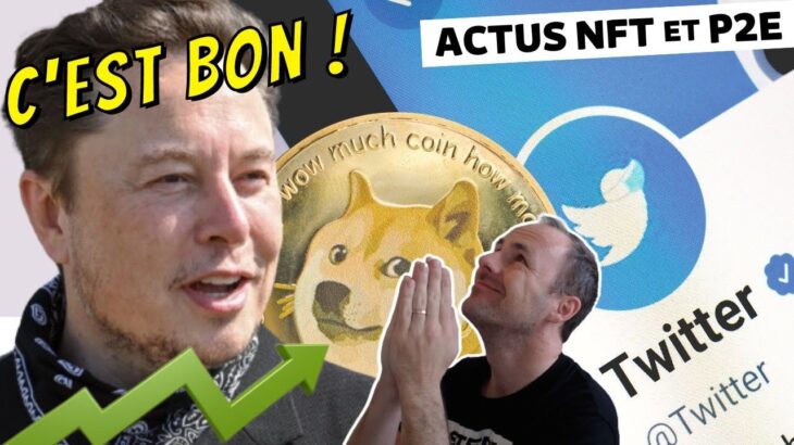 Merci ELON | APTOS dépasse REDDIT | STEPN donne 10 000$ – Actu NFT & P2E #107