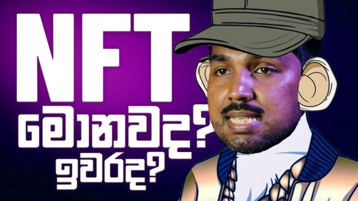 NFT කියන්නේ මොකක්ද?⚡ NFT රැල්ල දැන් ඉවරද?