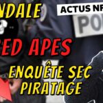 SCANDALE BORED APES | Un artiste NFT BURN 10 MILLIONS $ | EARLY ACCESS CTA – Actu NFT & P2E #94