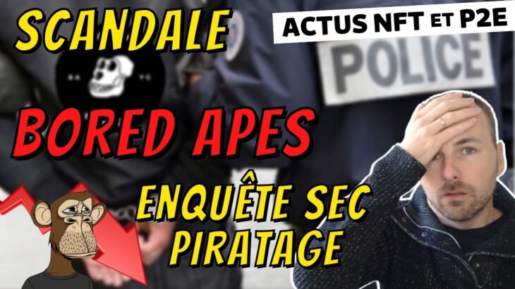 SCANDALE BORED APES | Un artiste NFT BURN 10 MILLIONS $ | EARLY ACCESS CTA – Actu NFT & P2E #94