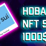 SUI DEVNET – НОВАЯ NFT И НОВЫЕ 1000$