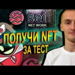 Sei Network Получаем NFT За Прохождение Теста