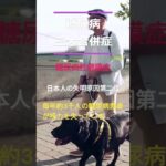 糖尿病三大合併症#Shorts #看護学生 #看護師国家試験 #医療 #看護師＃糖尿病