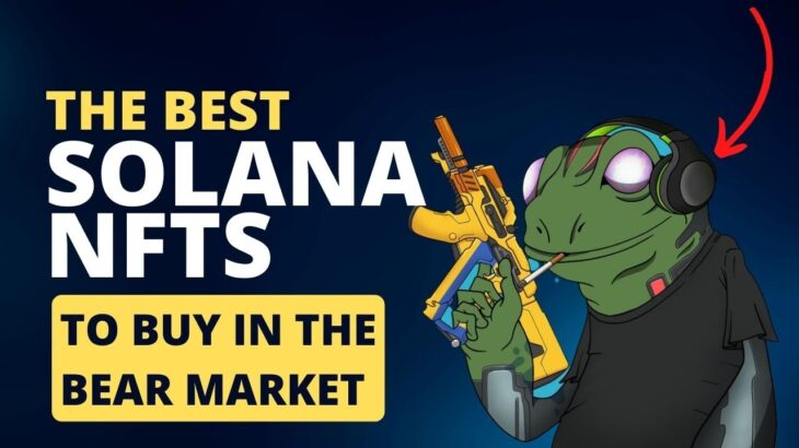 The Best Solana NFTs to Buy NOW & NFT Market Updates.