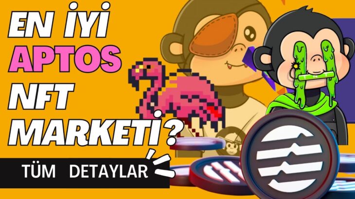 Topaz NFT Marketplace | Nedir ? Nasıl Kullanılır ? Detaylı Bilgi