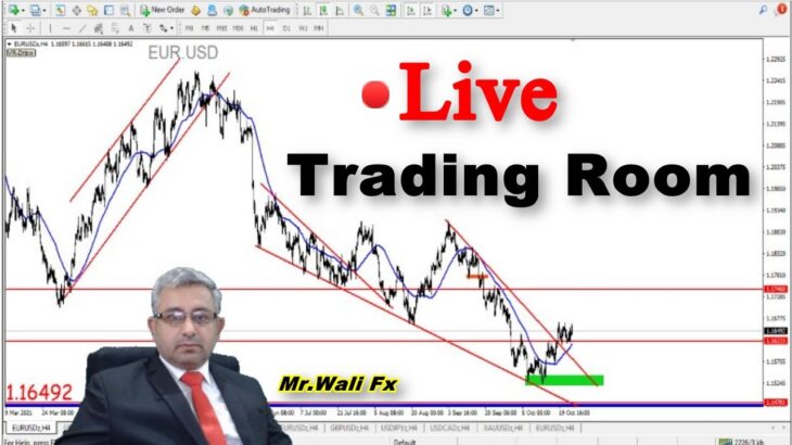 Trading Currency Market | Learning Session | NFT