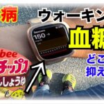 【糖尿病 Type1食事】糖尿病の私が大好きなカルビー関西だししょうゆを食べたくてできるだけインスリン少なくしてウォーキングへ！果たしてどれだけ血糖値抑えれる？