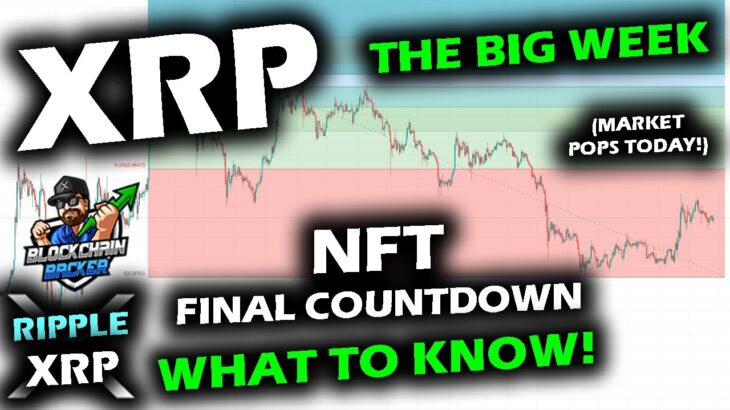 XRP BIG MOMENT NEARS as NFT Countdown Ticks, NFTS WHAT TO KNOW, Bitcoin and Altcoin Market Pop Up