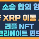 리플 소송 합의 임박?/ 대량 XRP 이동 포착 / 리플 NFT 크리에트 펀드 / 비트코인