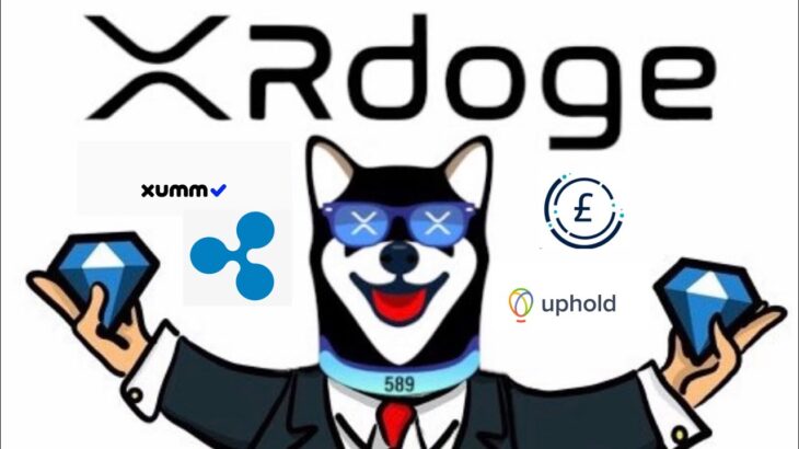 XRdoge MEETINGS WITH | RIPPLE UPHOLD XUMM DIGITAL POUND FOUNDATION | CONFETTI NFT MOVIE PREMIER |