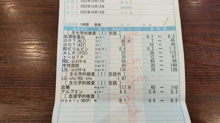 糖尿病克服日記１０  血液検査の結果４