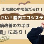 「腸内環境と糖尿病」糖尿病改善の鍵は菌にあり！