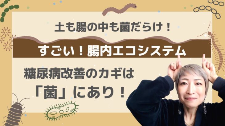 「腸内環境と糖尿病」糖尿病改善の鍵は菌にあり！