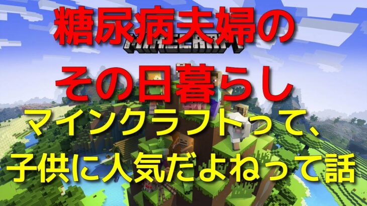 糖尿病夫婦のその日暮らし マインクラフトって、子供に人気だよねって話