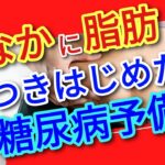 お腹周りに脂肪がつき始めると糖尿病の予備軍