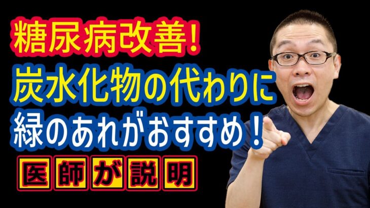 糖尿病食事療法_炭水化物の代わりに緑のあれがおすすめ_相模原内科