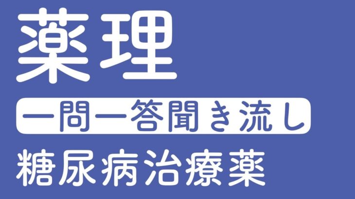 薬理　一問一答聞き流し　糖尿病治療薬