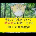 糖尿病のお話し・その08  一段上の食事療法の考え方について