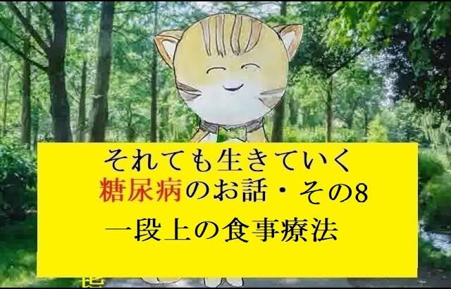 糖尿病のお話し・その08  一段上の食事療法の考え方について