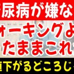 【糖尿病血糖値100%下げる!?】４分座ったまま運動の効果がすごかった！ダイエット効果もありぽっこりお腹を解消し腰痛や坐骨神経痛も改善する超簡単エクササイズ