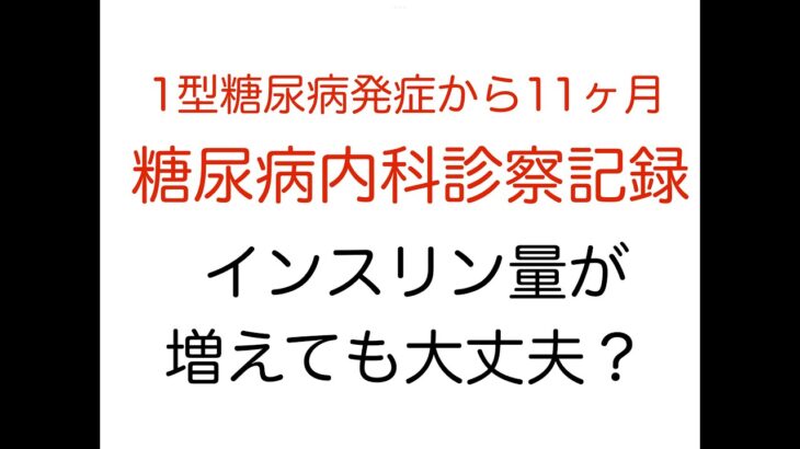 【1型糖尿病】発症から11ヶ月目糖内科受診記録　インスリン量が増えても大丈夫？