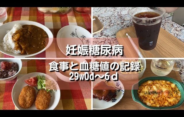 【妊娠糖尿病】食事と血糖値の記録｜妊娠29週0日～6日