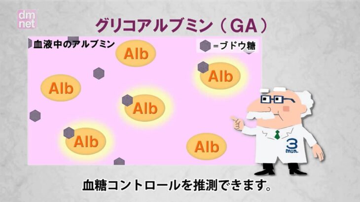 4-4. グリコアルブミン（GA）【糖尿病3分間ラーニング】