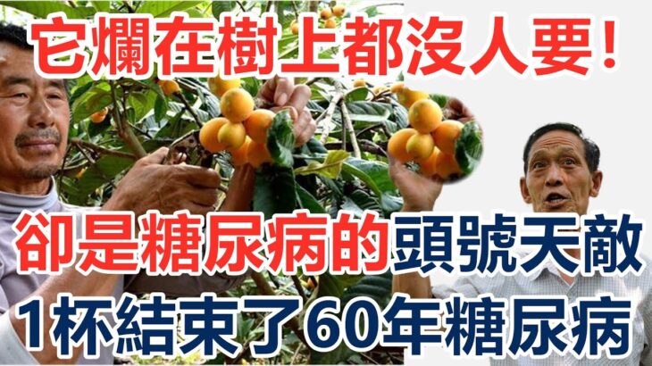 它是糖尿病的頭號天敵，如今爛在樹上都沒人要！82歲老人摘它煮水喝，一杯血糖從13 8降到4 0，結束了60年的糖尿病