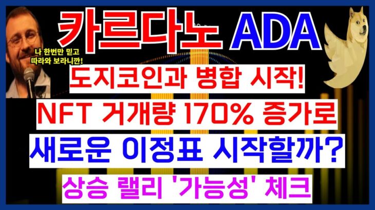 카르다노 ADA 코인 도지코인과 병합 시작! NFT 거래량 170% 증가로 새로운 이정표 시작할까? 상승 랠리 ‘가능성’ 체크